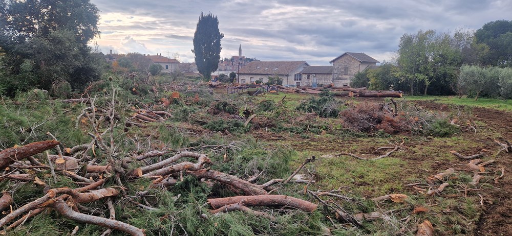 (Snimila Nina Orlović Radić)