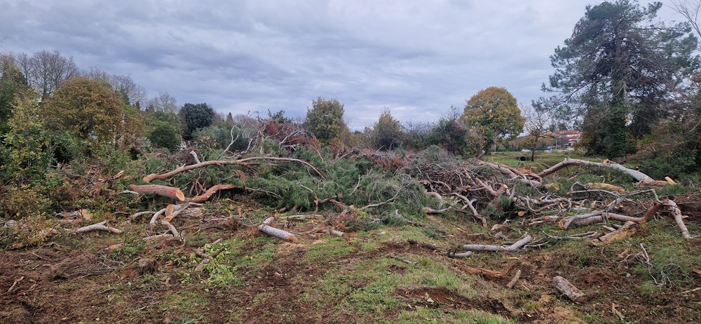 (Snimila Nina Orlović Radić)