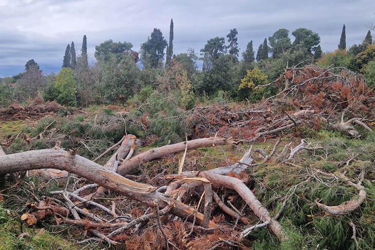 (Snimila Nina Orlović Radić)
