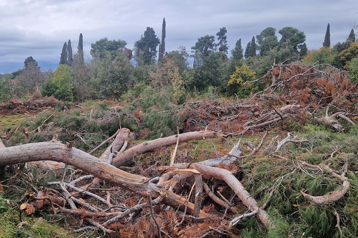 (Snimila Nina Orlović Radić)
