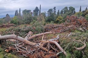 (Snimila Nina Orlović Radić)