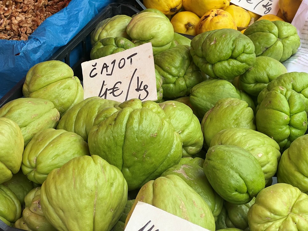 (Snimila Doria Mohorović)