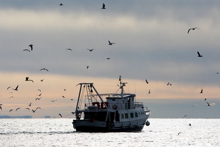 (Boris Scitar/PIXSELL)