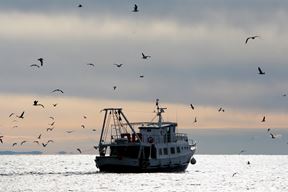 (Boris Scitar/PIXSELL)