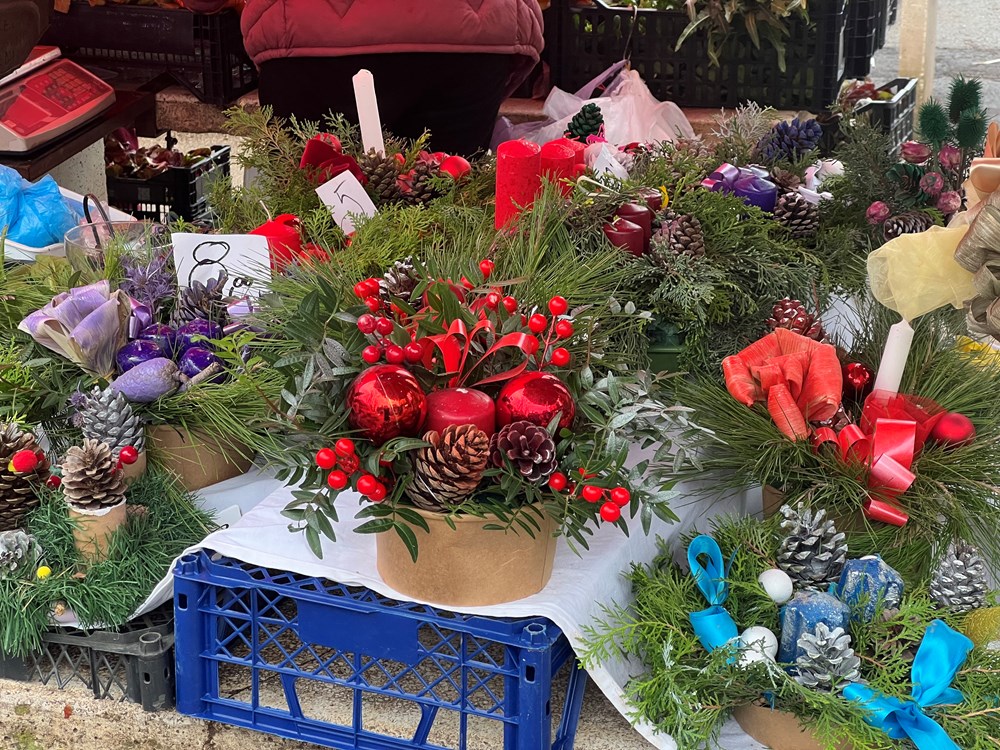 (Snimila Doria Mohorović / Glas Istre)