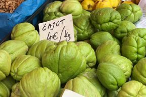 (Snimila Doria Mohorović)