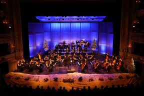 (Snimio Dražen Šokčević)