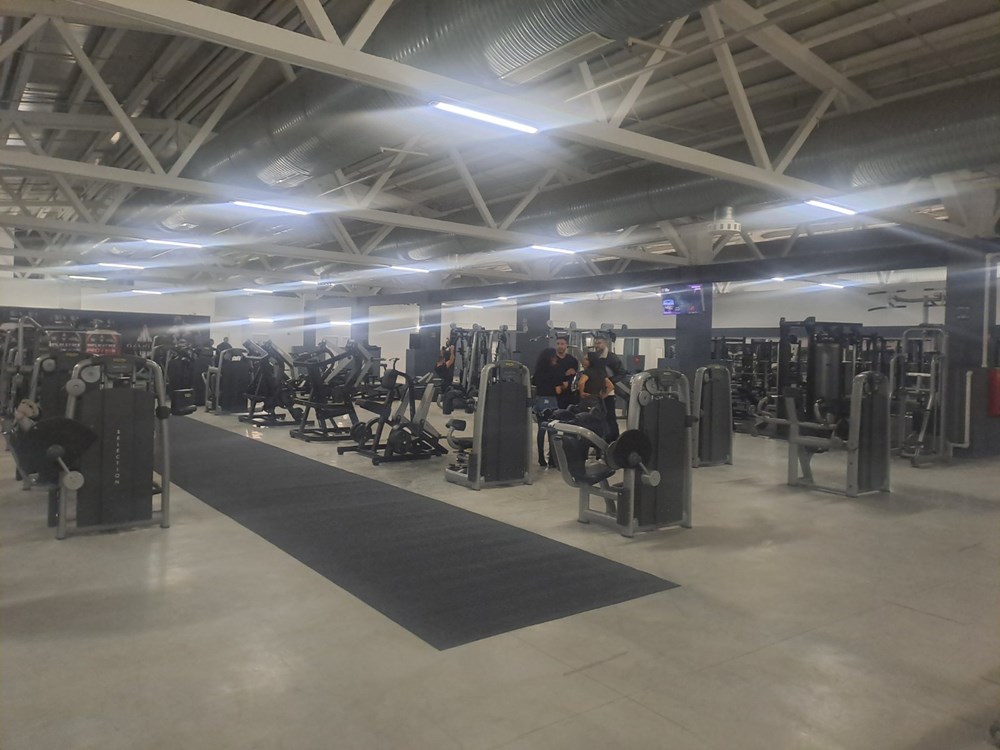 (Snimila Jelena Milović)