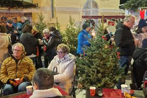 (Snimila Nina Orlović Radić)