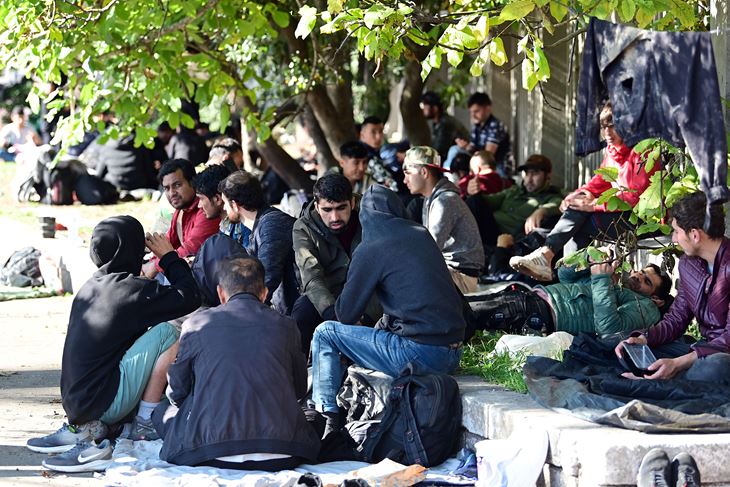 (Snimio Vedran Karuza)