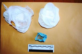 Ilustracija (PU istarska)