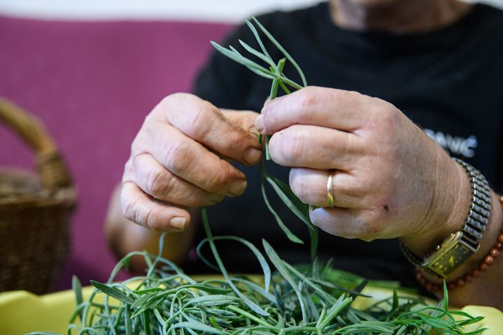 Ilustracija (Snimio Luka Jeličić)