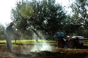 (Snimio Milivoj Mijošek)