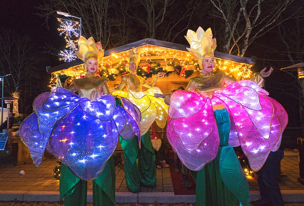 (Božićna bajka Poklon)