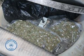 Ilustracija (PU istarska)