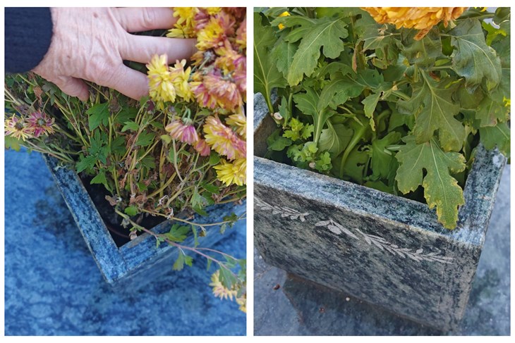 (Foto: Facebook / Rovinjske žalbe i pohvale)