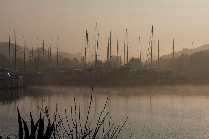 (Snimio Srecko Niketic / Pixsell)