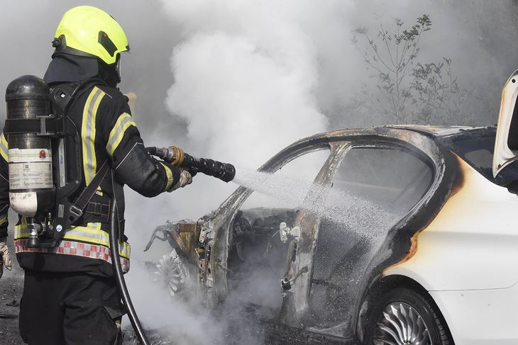 Ilustracija (Snimio Sergej Drechsler)