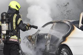 Ilustracija (Snimio Sergej Drechsler)