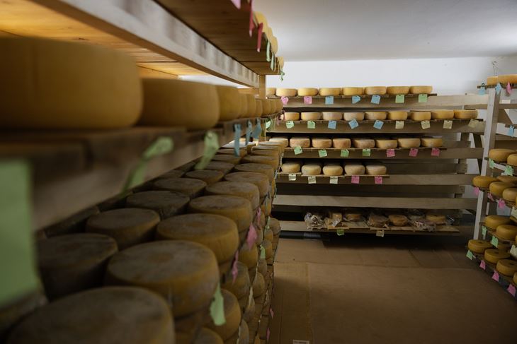 Ilustracija (Snimio Mislav Klanac)