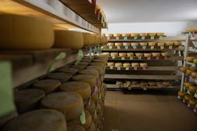 Ilustracija (Snimio Mislav Klanac)