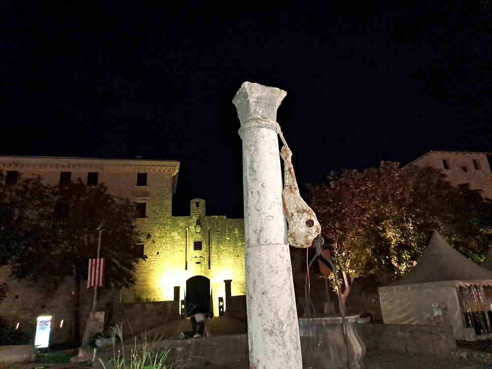 (Snimio Zoran Oljača)