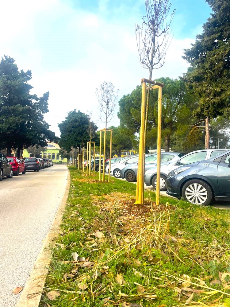 (Foto: Grad Umag)