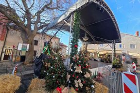 (Snimila Tea Tidić)