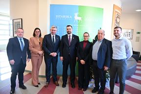 (Istarska županija)