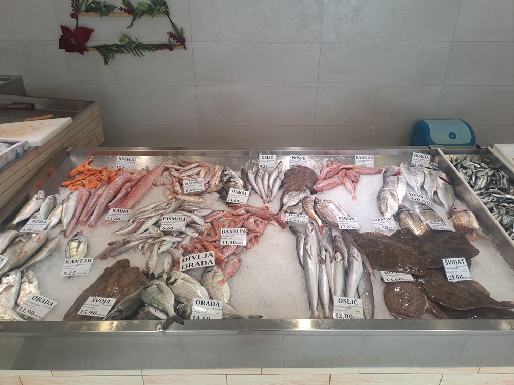 (Snimila Jelena Milović)