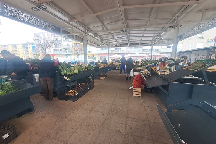 (Snimila Jelena Milović)