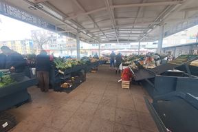 (Snimila Jelena Milović)