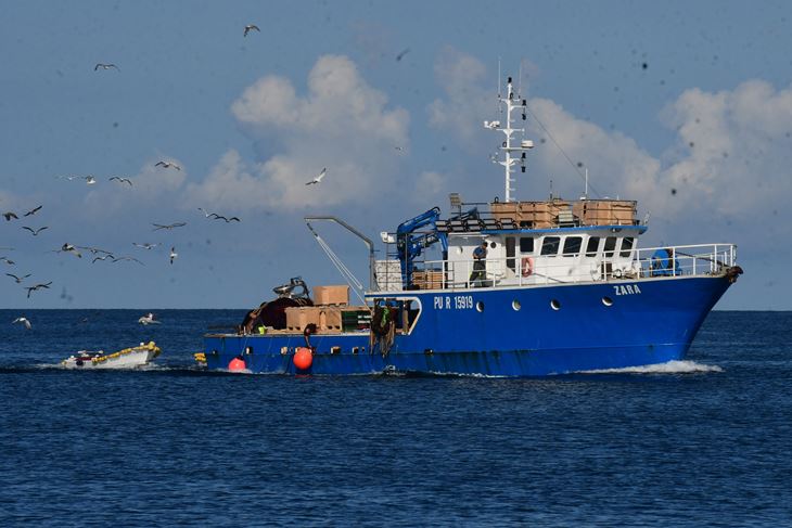 (Snimio Milivoj Mijošek)