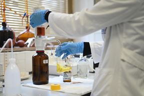 Ilustracija (Snimio Mateo Levak)