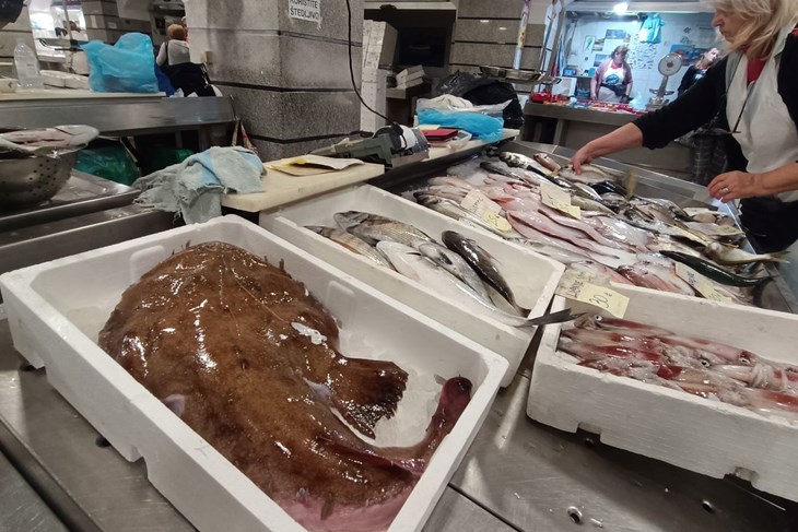 (Snimio Zvjezdan Strahinja)