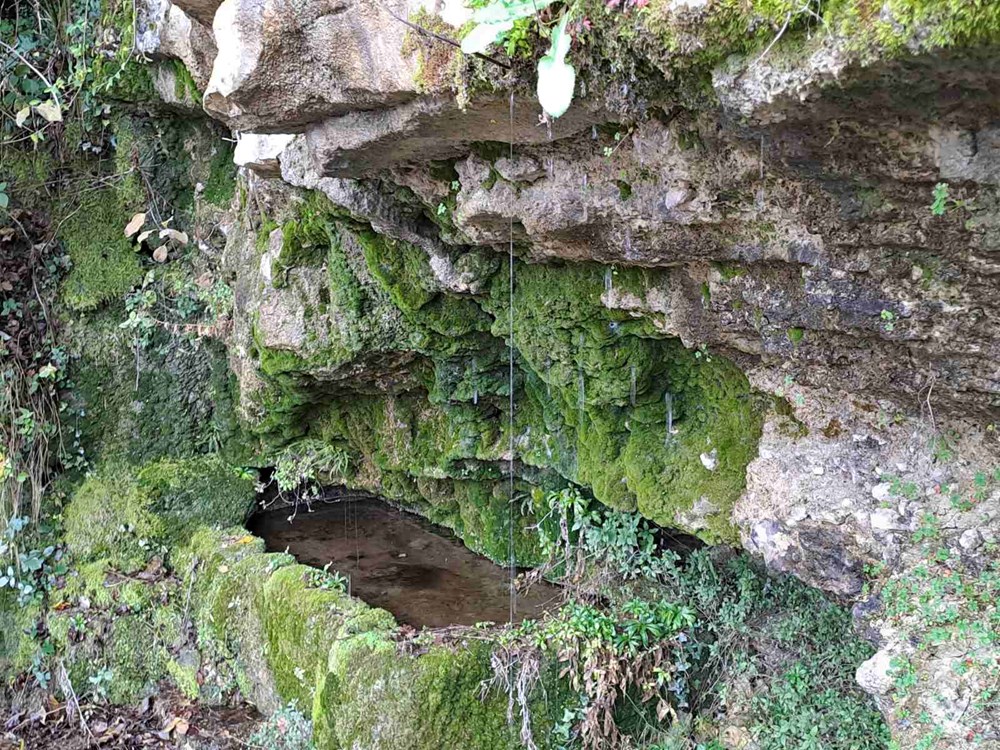 (Snimio Zoran Oljača)