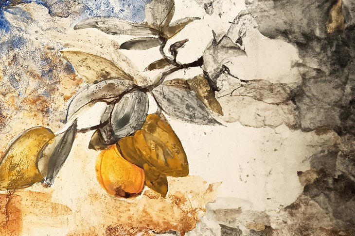 (Freska žute dunje)