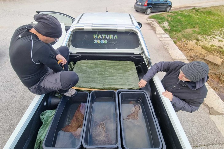 (Snimila Dr.sc. Silvija Kipson)