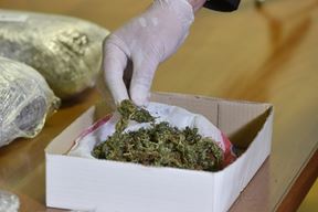 Ilustracija (Snimio Hrvoje Jelavić / Pixsell)