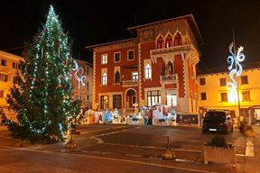 (Snimio Zoran Oljača)