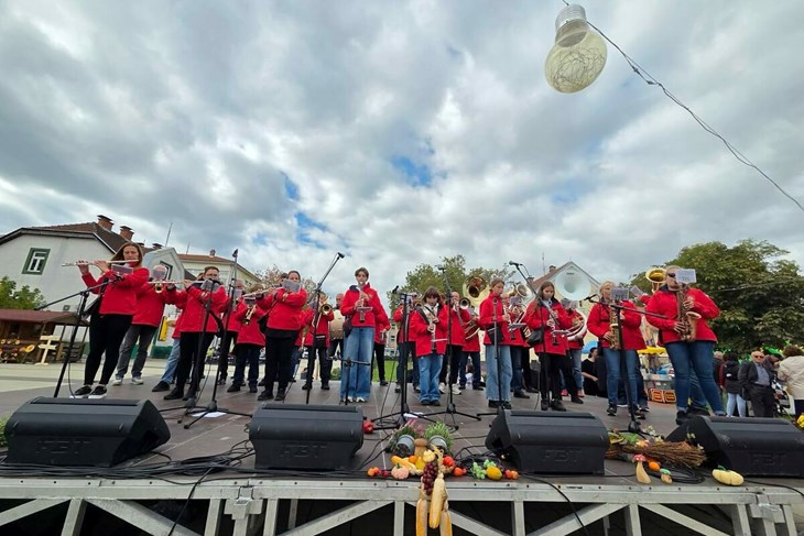 Limena glazba Rovinj
