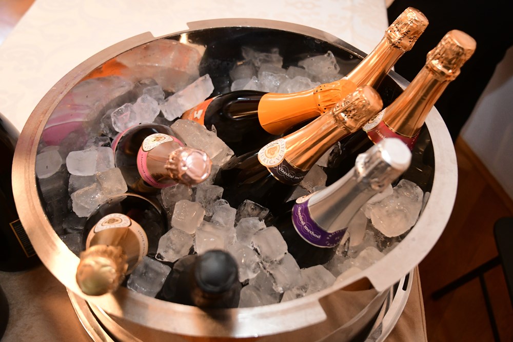 (Snimio Milivoj Mijo&scaron;ek)