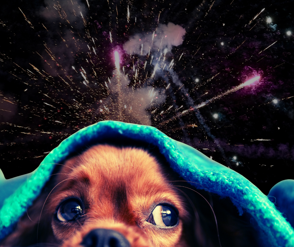 (Prijatelji životinja)