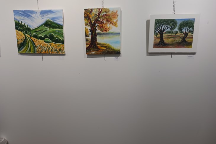 (Snimila Vanesa Begić)