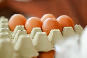 Ilustracija (Snimio Mislav Klanac)