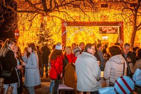 (Snimio Loris Zupanc)