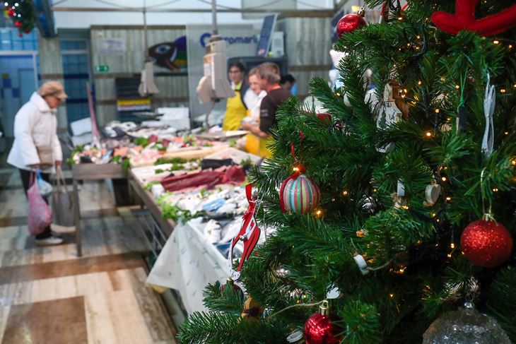 Ilustracija (Snimio Matija Habljak / Pixsell)