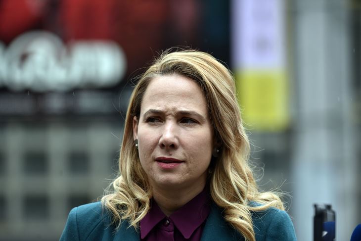 (Snimio Davor Kovačević/Novosti)