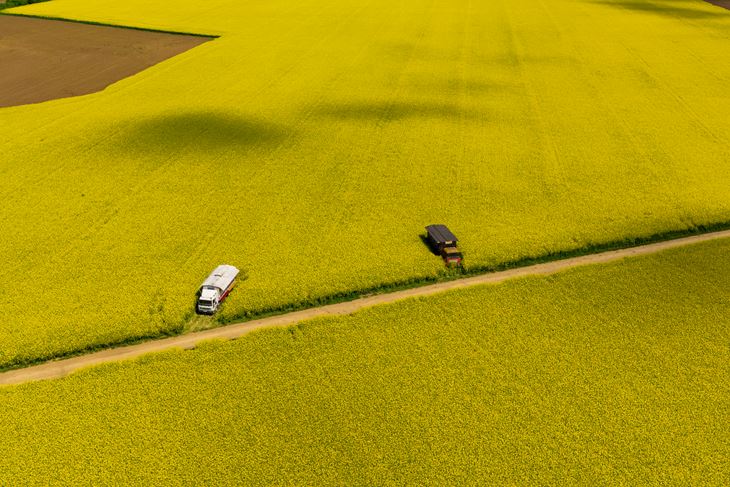 Ilustracija (Snimio Davor Javorović / Pixsell)