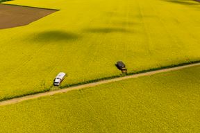 Ilustracija (Snimio Davor Javorović / Pixsell)